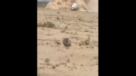 هبوط طائرة بدون إطارات على الرمال في إيران