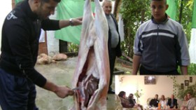 “زاهر وزمرته ينتمون لحضارة الكهوف والشروق صاروخ قصف كل القنوات الفضائية المصرية”