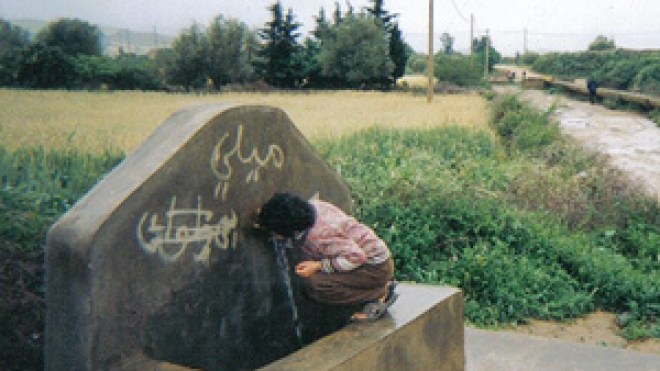 سكان غرداية استهلكوا مياها ممزوجة بالحشرات والطيور