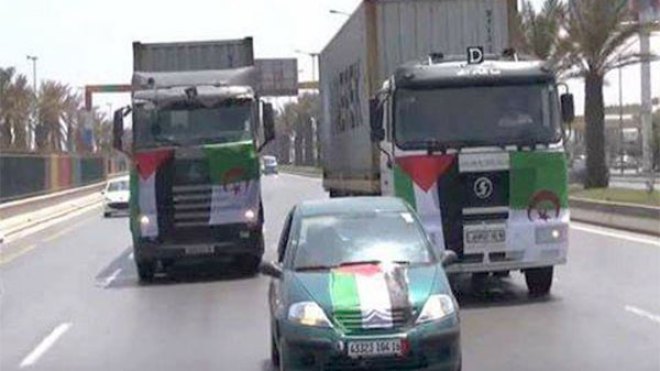 وفد جمعية العلماء المسلمين يتنقل إلى القاهرة في انتظار موافقة السلطات