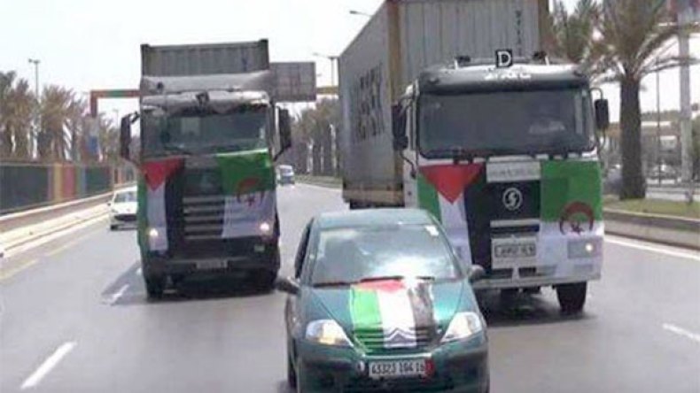 وفد جمعية العلماء المسلمين يتنقل إلى القاهرة في انتظار موافقة السلطات