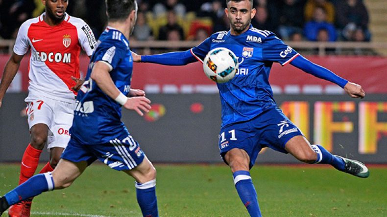 غزال مطلوب من 3 فرق