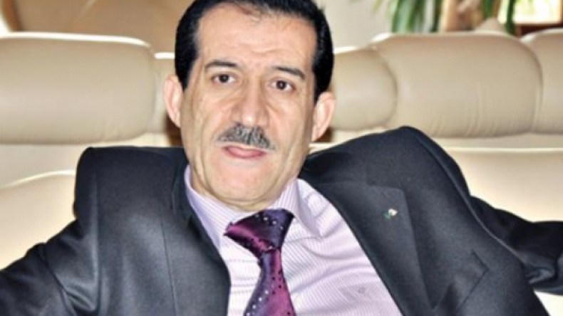 غول يرافع لأجل نظام شبه رئاسي