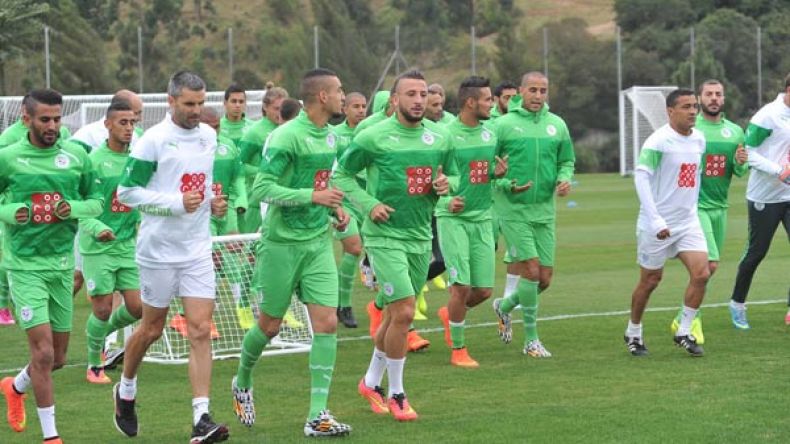 الفاف ستحيل المحضر البدني ” للخضر” على المجلس التأديبي