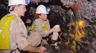 La compagnie australienne GMA utilise la rente de l’or algérien dans l’élevage de dromadaires