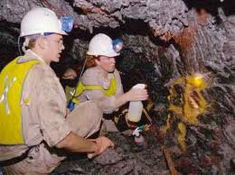 La compagnie australienne GMA utilise la rente de l’or algérien dans l’élevage de dromadaires