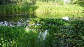 “بحيرات” الطارف تلفظ حمولة شاحنتين من زجاجات الخمر