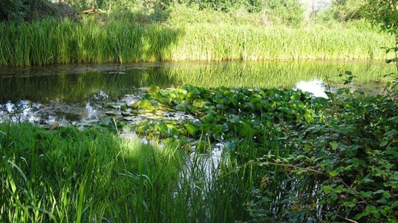 “بحيرات” الطارف تلفظ حمولة شاحنتين من زجاجات الخمر