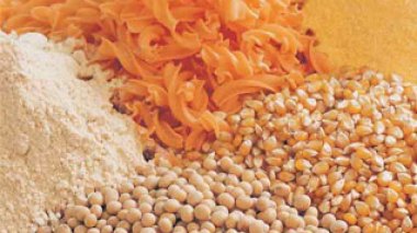 Algeria has grains stock enough for six months