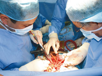 La greffe d’organes en Algérie est très faible