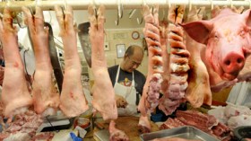 يحدث هذا عندنا.. جزائريون يصطادون الحلوف ومحلات تبيعه سرا !