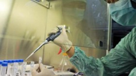 الجزائر الثالثة إفريقيا في قائمة الترتيب العالمي لانتشار أنفلوانزا الخنازير