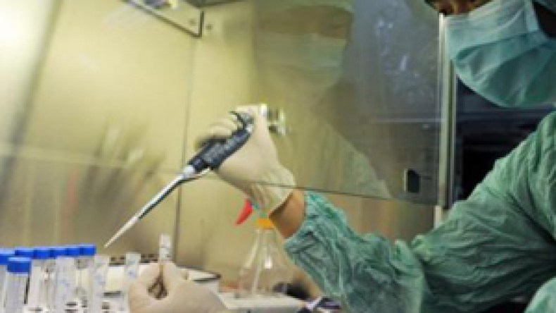 الجزائر الثالثة إفريقيا في قائمة الترتيب العالمي لانتشار أنفلوانزا الخنازير