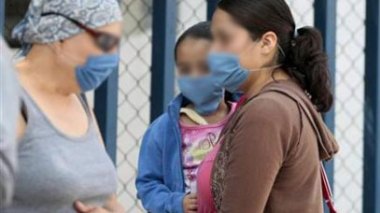 Grippe porcine : plus de 50 cas enregistrés depuis le début de l'année 2011