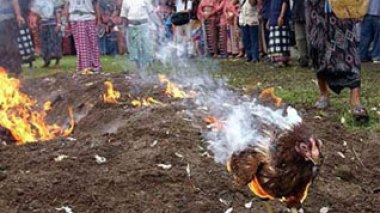 Vietnam: une femme de 23 ans décède de la grippe aviaire
