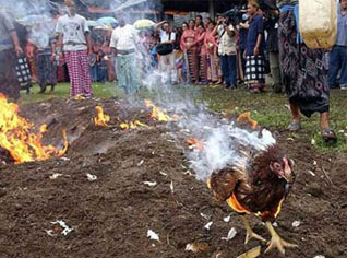 Vietnam: une femme de 23 ans décède de la grippe aviaire