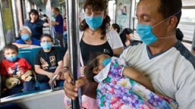 17 cercles  ministériels mobilisés contre la grippe porcine