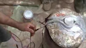 عصابة هرّبت 500 لغم للارهابيين وادّعت أنّها بطاطا لصيد الأسماك!