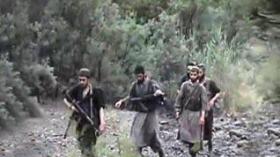 Algeria suicide bombers took anti-stress medicines