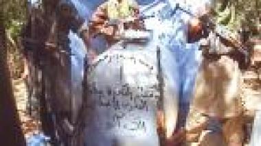 Afghanistan: au moins huit morts dans un attentat-suicide