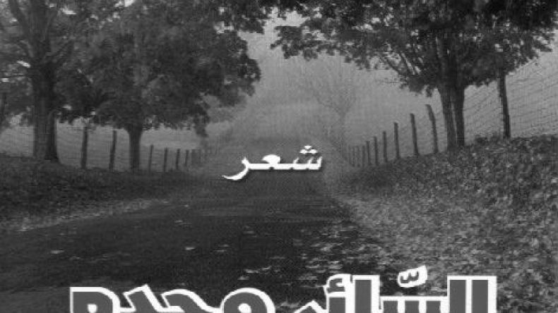 مجموعة “السائر لوحده” لبوعلام قطاف… توثيق لحصيلة متراكمة بلغة شعرية