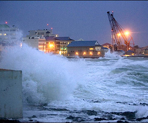 A La Nouvelle-Orléans, une poignée d'habitants défie l'ouragan Gustav