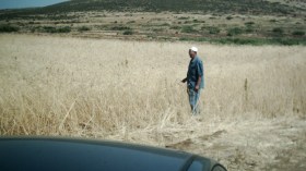 أكثر من 40 هكتارا من الخسائر في حقول الحبوب بالمدية