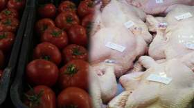 “تعادل تاريخي” بين أسعار الدجاج والطماطم بالأسواق