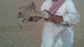 صيادو الحبار القطريون وتجار”الترفاس” يتسببون في أزمة بنزين في البيض