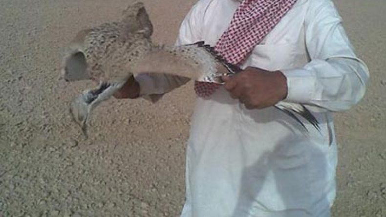 الإمارات تدعو رعاياها إلى التوقف عن صيد الطيور في الجزائر