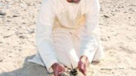 رجال أعمال خليجيين يتنافسون في الاستثمار بـ”فياغرا الصحراء”