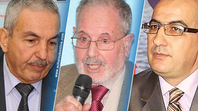 صالح بلعيد يؤكد: العربية في الجزائر ليست عرقا