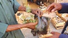 شيخ يبيع الأفيون لزبائنه ويوهمهم أنه علاج للضعف الجنسي