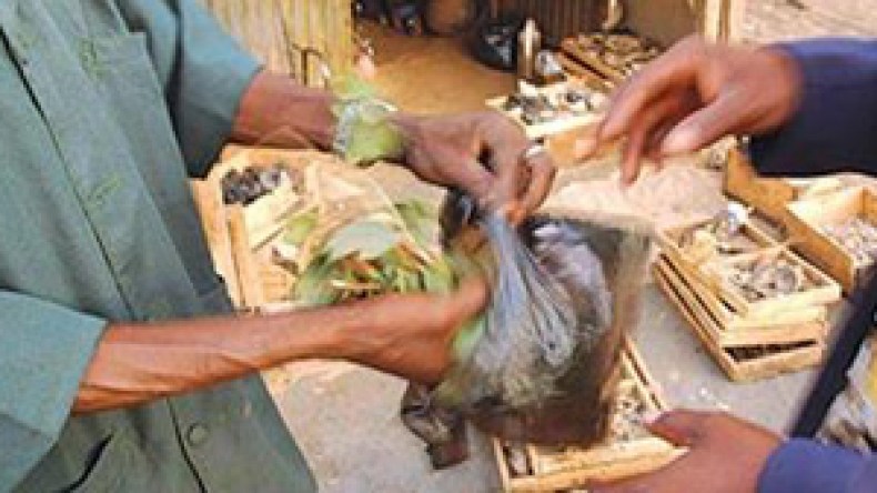 شيخ يبيع الأفيون لزبائنه ويوهمهم أنه علاج للضعف الجنسي