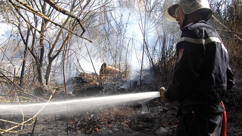 النيران أحرقتنا.. شرّدتنا وأفقرتنا