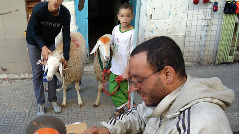 تجّار ومنحرفون يستغلّون الأطفال في تجارة السكاكين والسواطير!