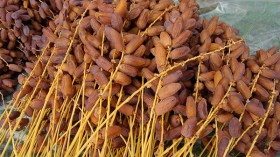 شخصيات فرنسية مقرّبة من إسرائيل تحظر “دقلة نور” بأوروبا!