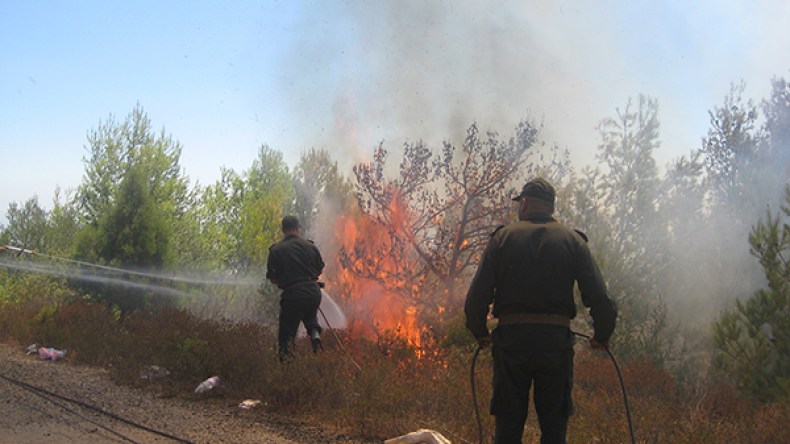 تحقيقات أمنية موسعة في الحرائق.. وتوقيف متورطين في شرق البلاد