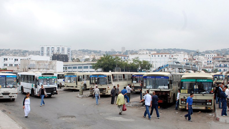 الناقلون الخواص يطالبون بتراخيص استثنائية لإستيراد 20 ألف حافلة