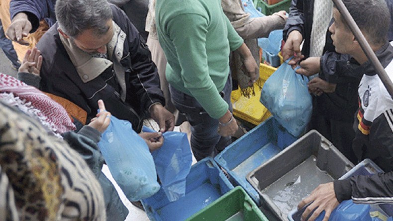 جزائريون يغرقون في “كيس حليب”