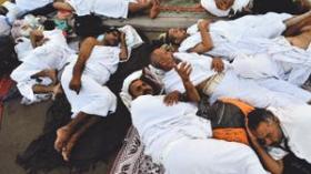 منظمو موسم الحج يشتكون من تزايد عدد الحجاج المسنين