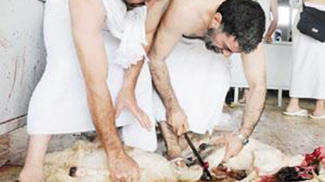 نصابون يحتالون على الحجاج ويبيعونهم أضاحي وهمية بالبقاع المقدسة