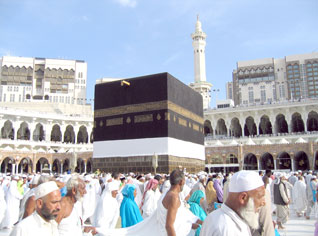 Algeria vaccinates pilgrims against swine flu