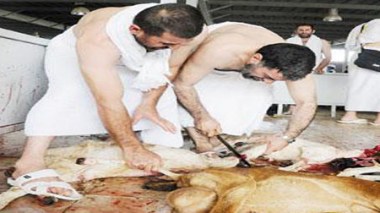 Lieux Saints : des Saoudiens escroquent les hadjis algériens