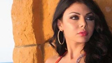 Haifa denies Amr Diabâ€™s performance at her wedding