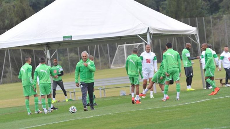 العب الهجوم يا خليلوزيتش… عندك براهيمي وجابو.. وكوريا لا تخيفنا