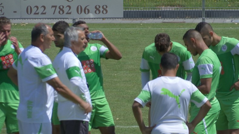 حذار يا خاليلوزيتش… بلجيكا ليست أرمينيا