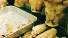 مطعم بعين الحمام يقدم وجبات لحم الخنزير مجانا