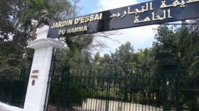 الحيوانات والنباتات تورط مسؤولين في الفساد بحديقة الحامة
