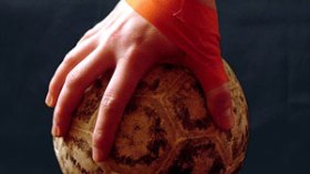 عقاب يقرر العودة لتدريب النجم الساحلي التونسي